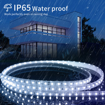 SMD LED STRIP 230V 7W/M. 500LM/M. 6500K 50-METER ROL