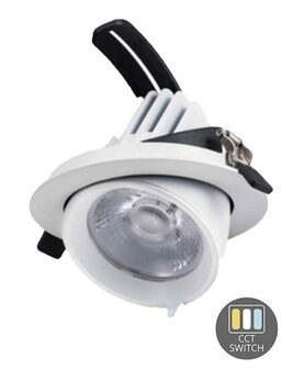 LED DOWNLIGHT KANTELBAAR 230V 30W 2700LM CCT-SWITCH