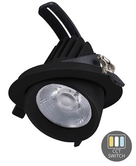 LED DOWNLIGHT KANTELBAAR 230V 30W 2700LM CCT-SWITCH