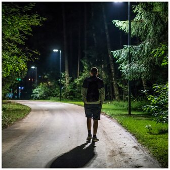 LED STRAATLAMP OP ZONNE-ENERGIE SENSOR/REMOTE 850LM 6500K 