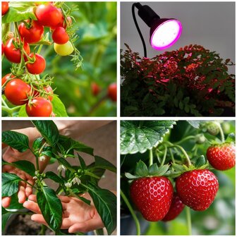 LED PLANTENLAMP PLANTY PAR30 E27 9W VOLSPECTRUM GROEILAMP