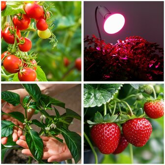 LED PLANTENLAMP PLANTY PAR30 E27 9W VOLSPECTRUM GROEILAMP