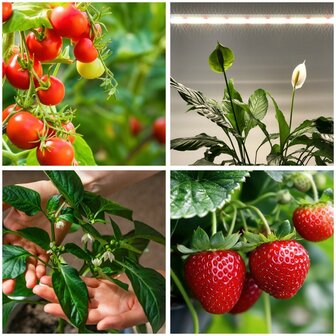 LED PLANTENLAMP GROWLY 15W STEKKER/TIMER &amp; KOPPELBAAR GROEILAMP