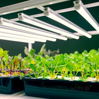 LED PLANTENLAMP GROWLY 15W STEKKER/TIMER &amp; KOPPELBAAR GROEILAMP