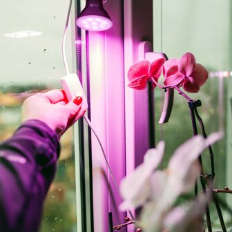 LED PLANTENLAMP PLANTY PAR20 E27 7W VOLSPECTRUM GROEILAMP
