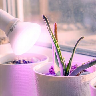 LED PLANTENLAMP PLANTY PAR20 E27 7W VOLSPECTRUM GROEILAMP