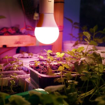 LED PLANTENLAMP PLANTY E27 GLOEILAMP 11W VOLSPECTRUM GROEILAMP