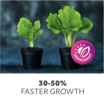 LED PLANTENLAMP GROWLY 2 X 8,5W STEKKER/TIMER &amp; KOPPELBAAR GROEILAMP