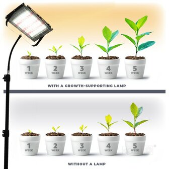 LED KWEEKLAMP STRALER FIRON 230V 45W 3750LM VOLSPECTRUM GROEILAMP