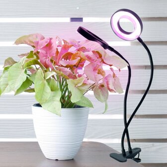 LED KWEEKLAMP VITARO-RING 2 MET TIMER/DIMMER