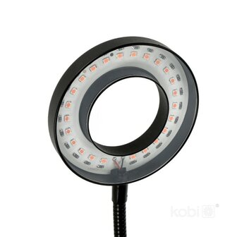 LED KWEEKLAMP VITARO-RING 2 MET TIMER/DIMMER