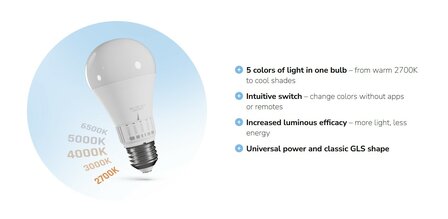 LED GLOEILAMP 5-CCT 5-LICHTKLEUREN E27 13W 1500LM 