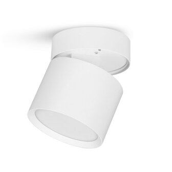 DOWNLIGHTER OPBOUWSPOT GX53 RICHTBAAR IP20 WIT 