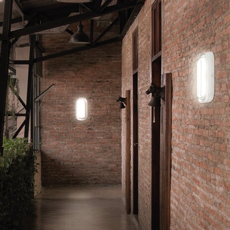 LED ARMATUUR PASTILO OVAAL IP54 IK10 230V 10W 1200LM CCT