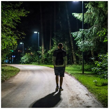 LED STRAATLAMP OP ZONNE-ENERGIE SENSOR/REMOTE 850LM 6500K 