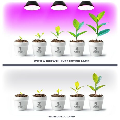 LED PLANTENLAMP PLANTY PAR30 E27 9W VOLSPECTRUM GROEILAMP
