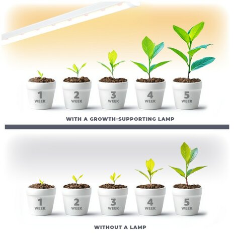 LED PLANTENLAMP GROWLY 15W STEKKER/TIMER & KOPPELBAAR GROEILAMP