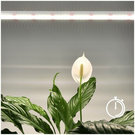 LED PLANTENLAMP GROWLY 15W STEKKER/TIMER & KOPPELBAAR GROEILAMP