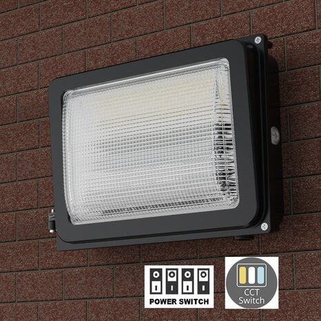 LED WALL PACK IP65 1-10V DIMBAAR POWER- & CCT-SWITCH 