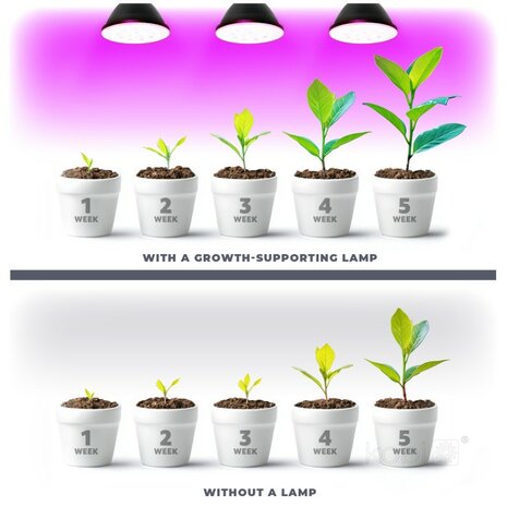LED PLANTENLAMP PLANTY PAR20 E27 7W VOLSPECTRUM GROEILAMP