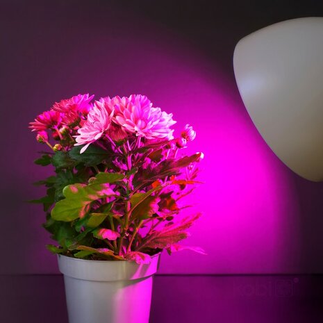 LED PLANTENLAMP PLANTY E27 GLOEILAMP 11W VOLSPECTRUM GROEILAMP