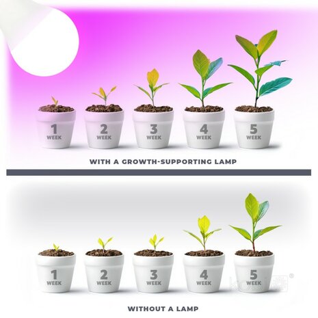 LED PLANTENLAMP PLANTY E27 GLOEILAMP 11W VOLSPECTRUM GROEILAMP