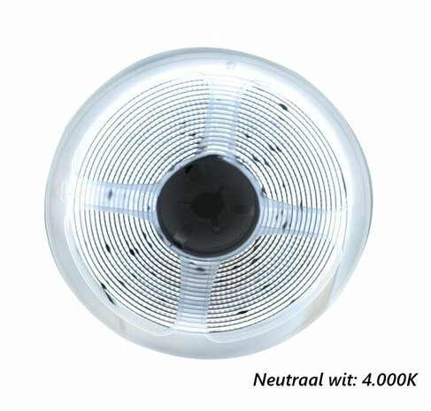 COB LED STRIP IP20 CRI-90 24V/DC 10W/M. 4 LICHTKLEUREN