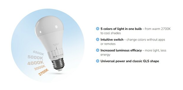 LED GLOEILAMP 5-CCT 5-LICHTKLEUREN E27 13W 1500LM 