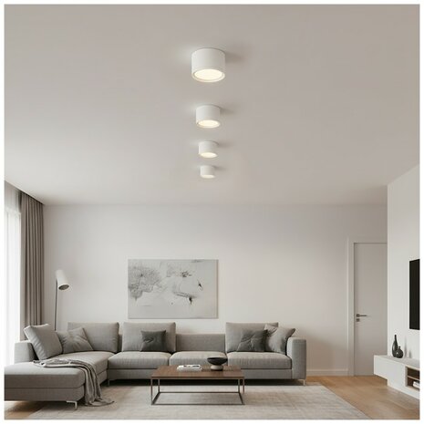 DOWNLIGHTER PLAFONDSPOT GX53 COMPACT IP20 WIT 