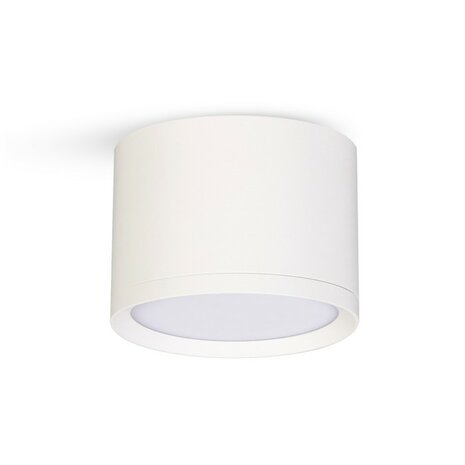 DOWNLIGHTER PLAFONDSPOT GX53 COMPACT IP20 WIT 