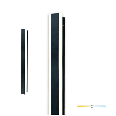 LED TUIN- WANDLAMP MIRANA-S IP44 230V 30/60/120CM 