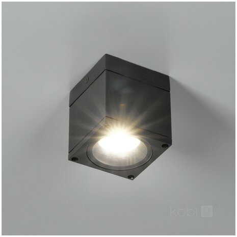 BUITENLAMP OPBOUWSPOT QUERK-1 IP54 230V GU10