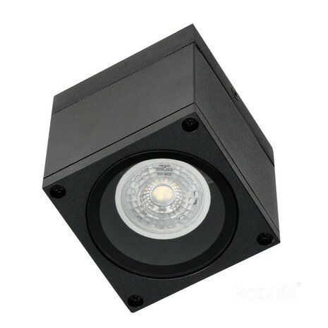 BUITENLAMP OPBOUWSPOT QUERK-1 IP54 230V GU10