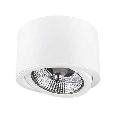 OPBOUWARMATUUR ES111 WIT ZWENKBAAR 230V GU10