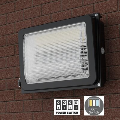 LED WALL PACK IP65 1-10V DIMBAAR POWER- & CCT-SWITCH