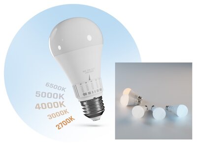 LED GLOEILAMP 5-CCT 5-LICHTKLEUREN E27 13W 1500LM